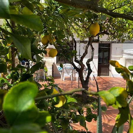 Casa Ciccio Apartment San Vito Lo Capo Luaran gambar