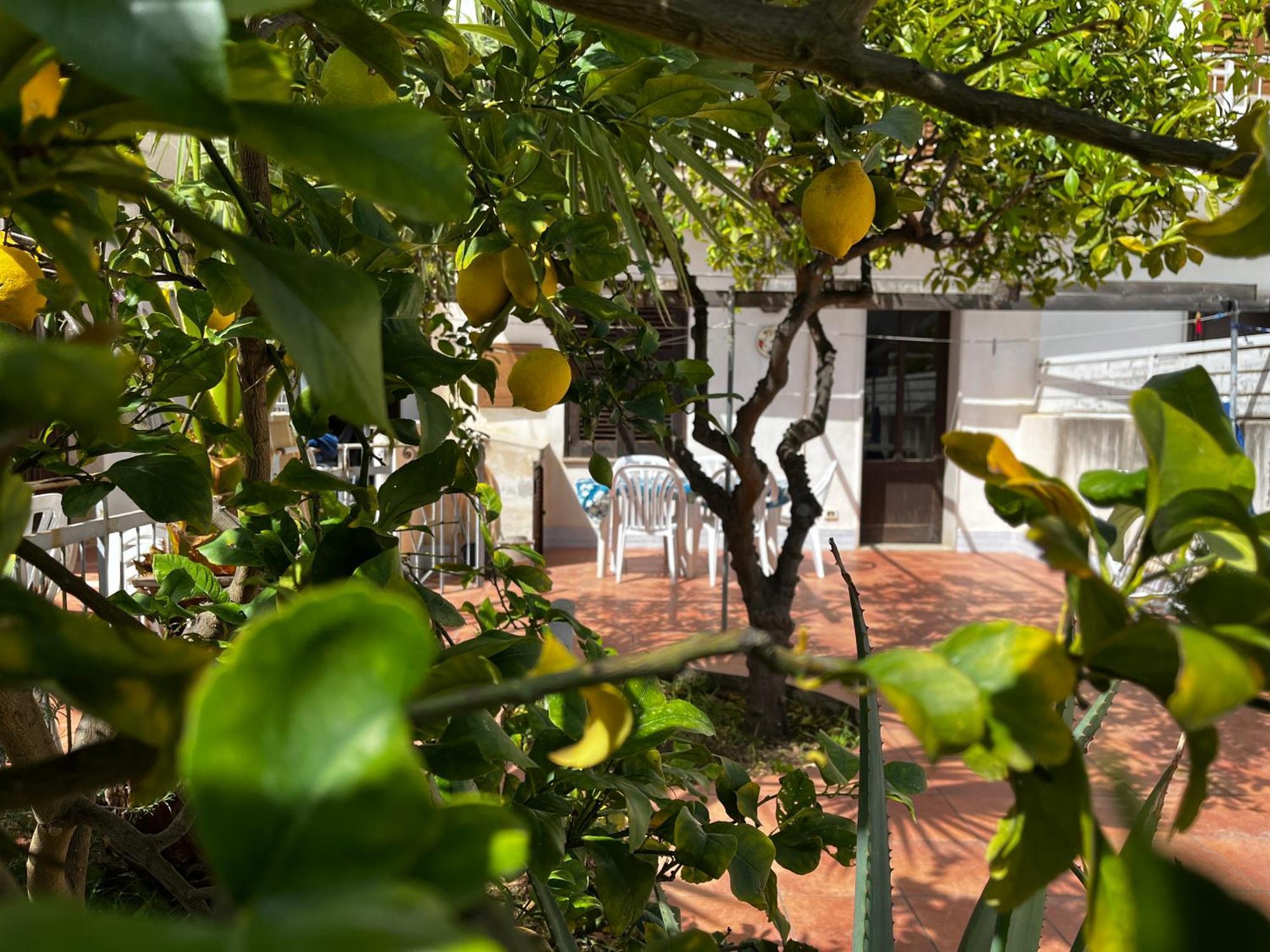 Casa Ciccio Apartment San Vito Lo Capo Luaran gambar